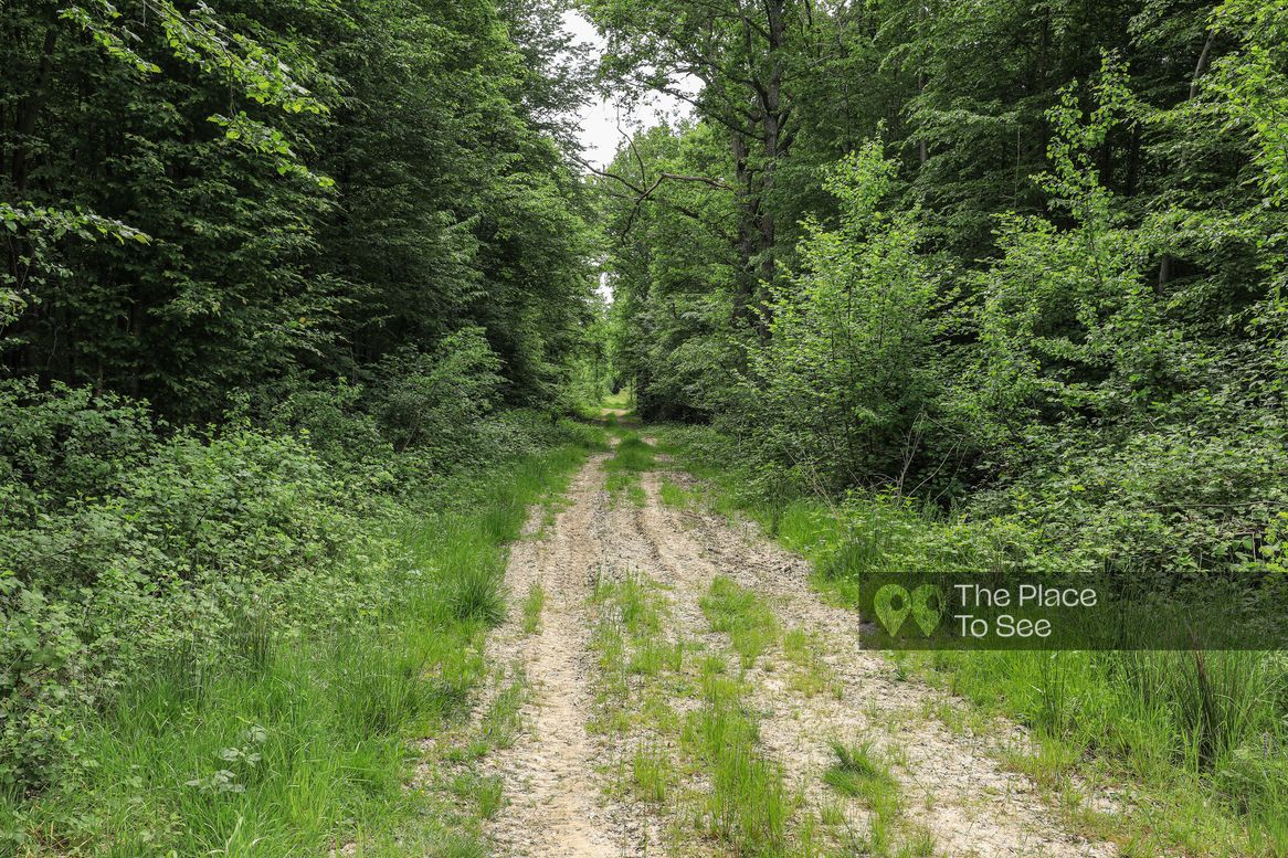 Route