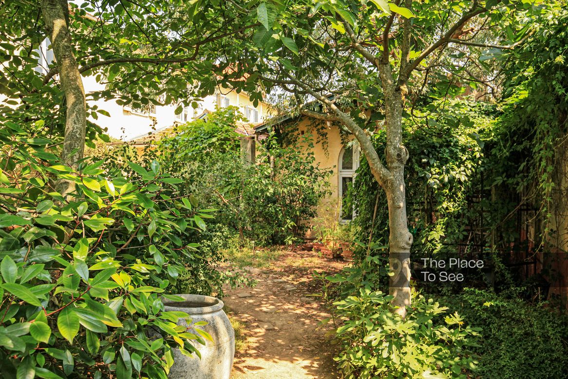 Jardin