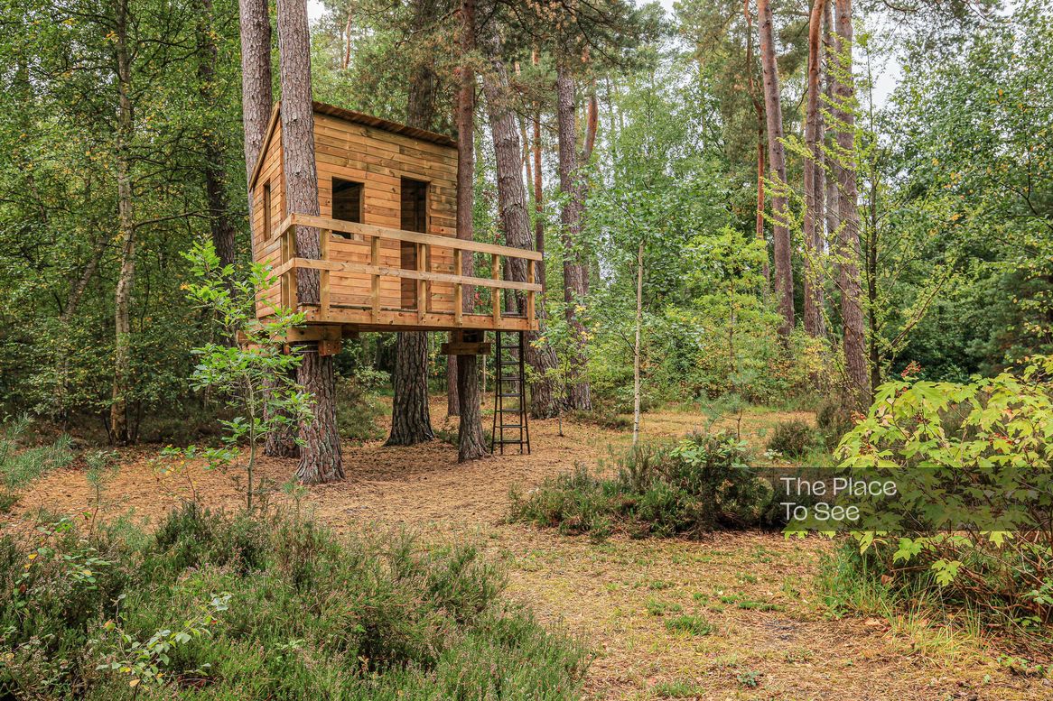 Cabane