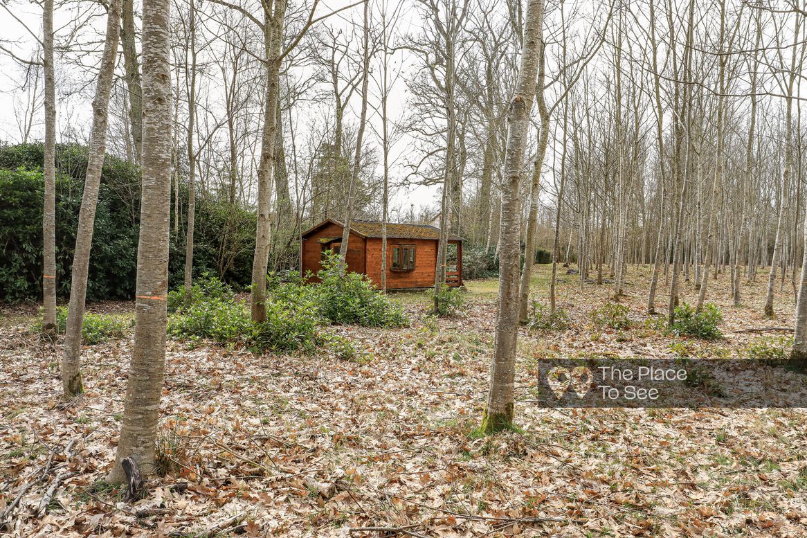 Cabane