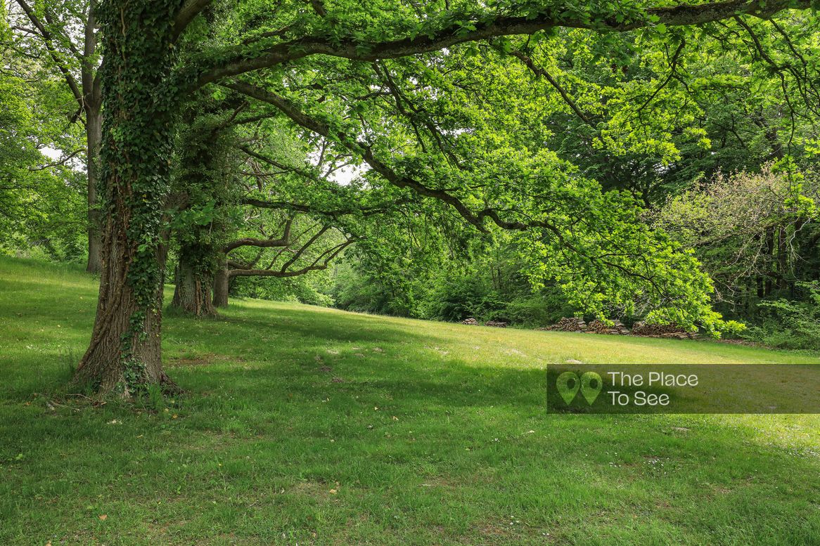 Arbre