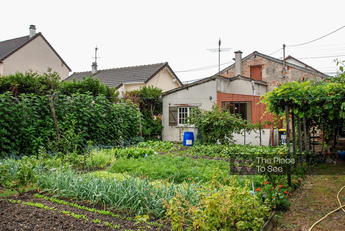 Jardin
