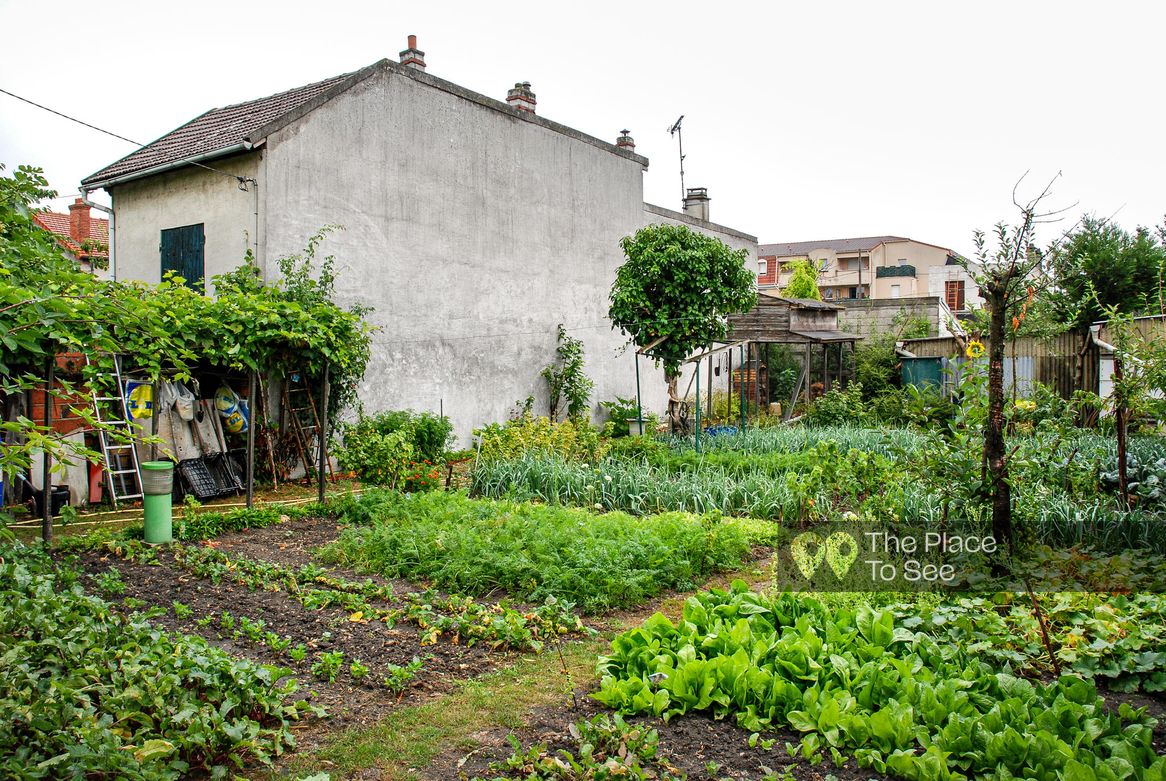 Jardin