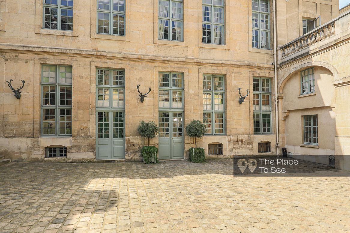 Cour