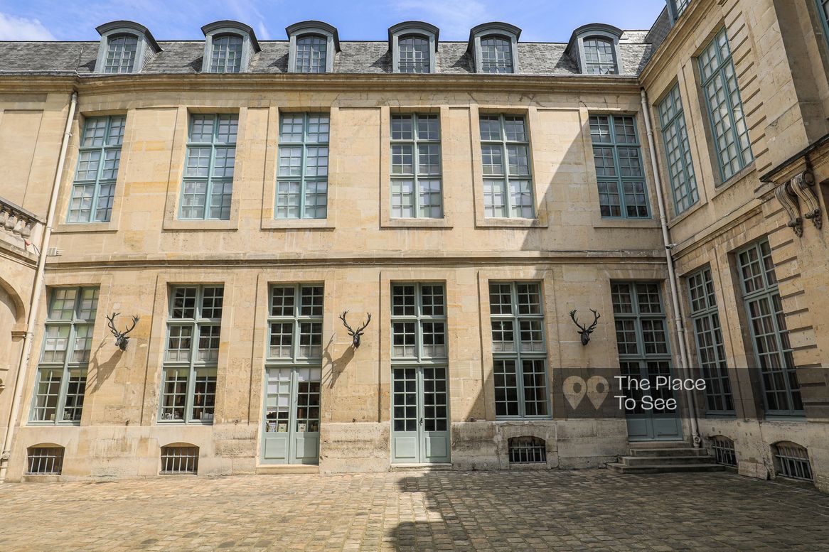 Cour