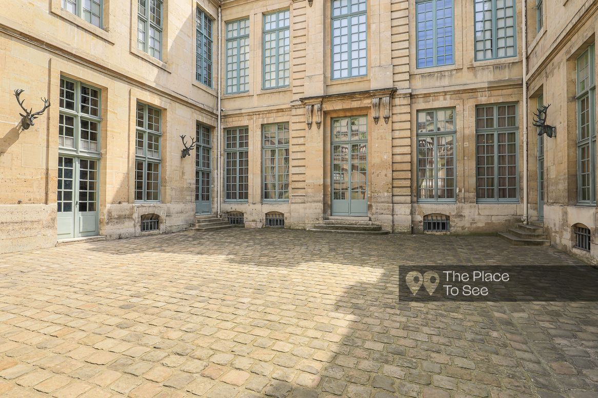 Cour