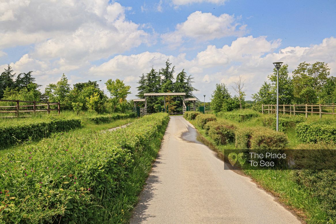 Allée