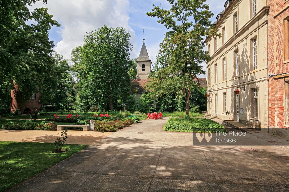Cour
