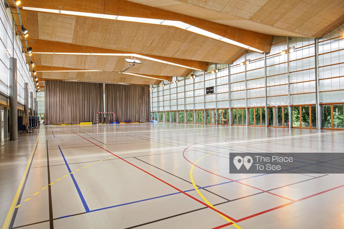 Gymnasium