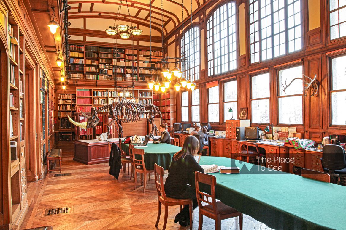 Library