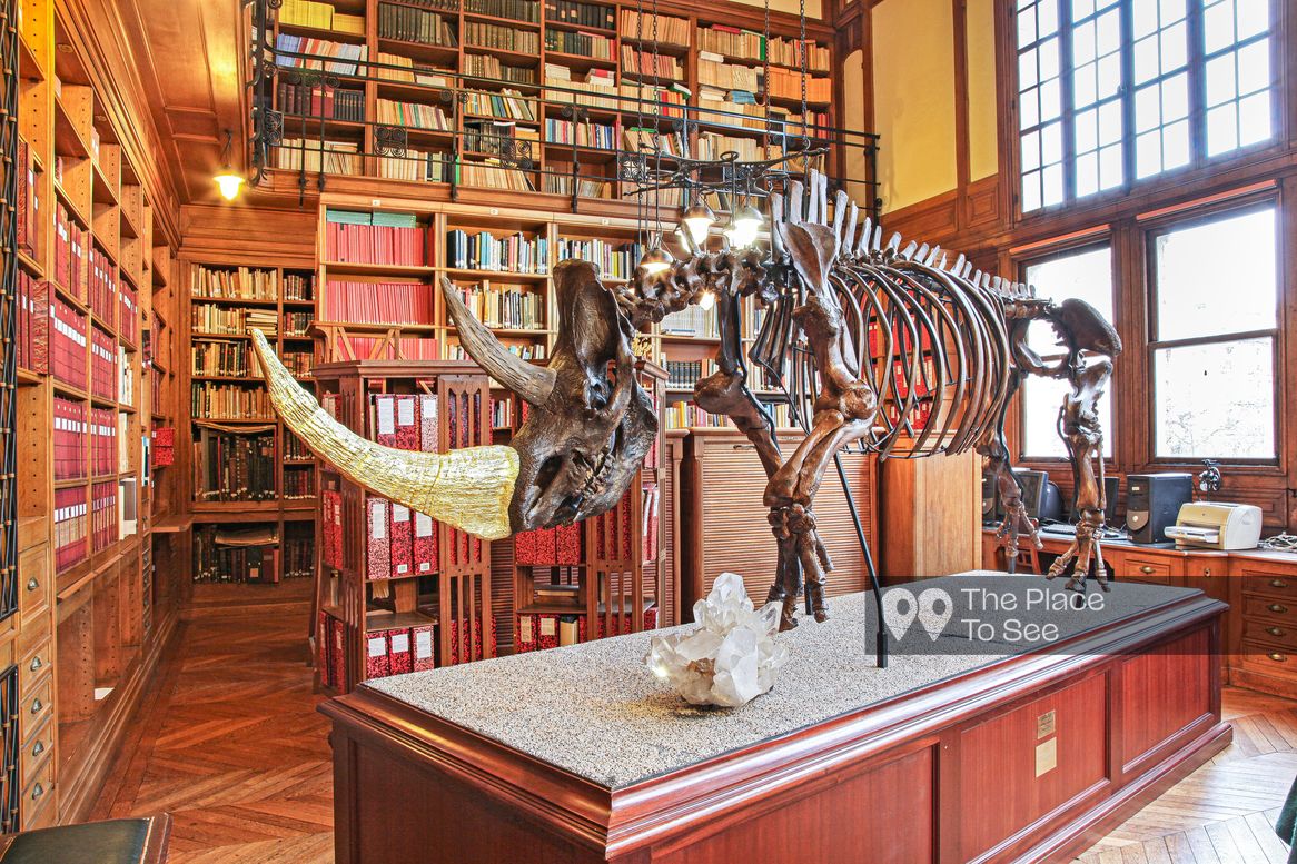 Bibliothèque