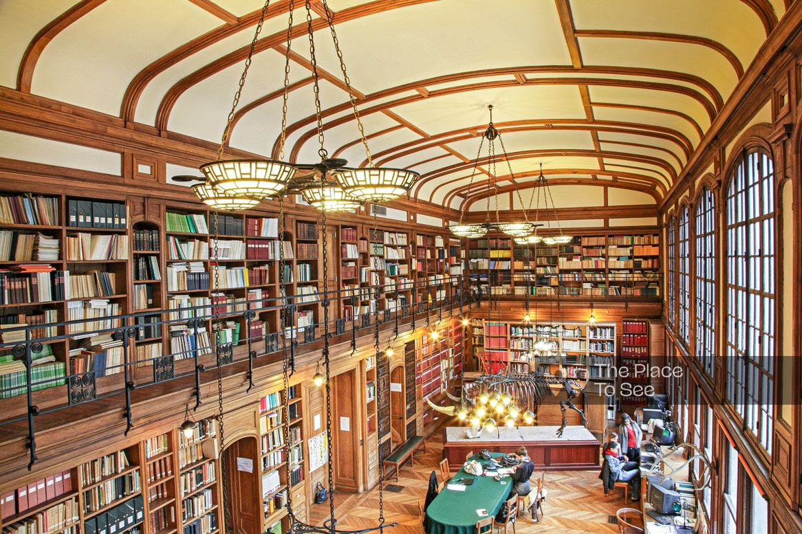 Bibliothèque