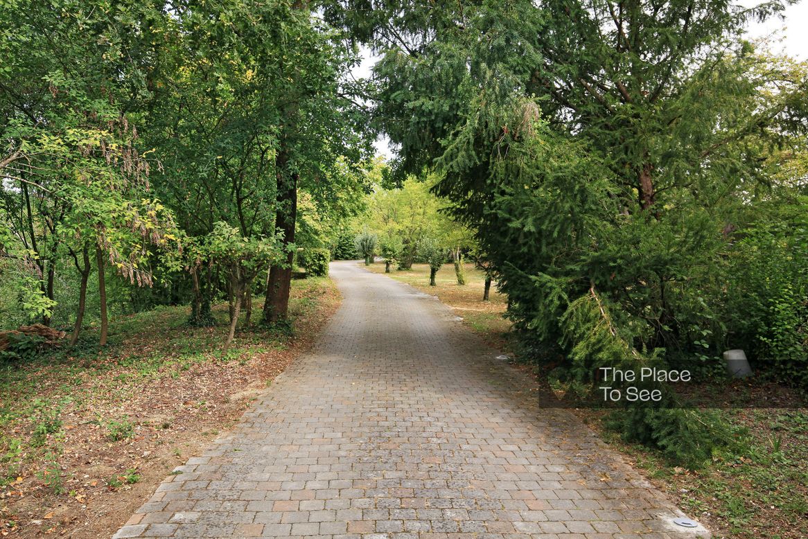 Allée