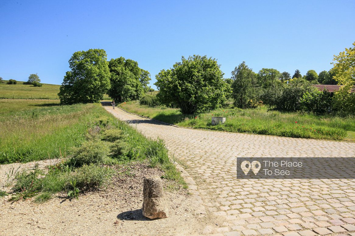 Allée