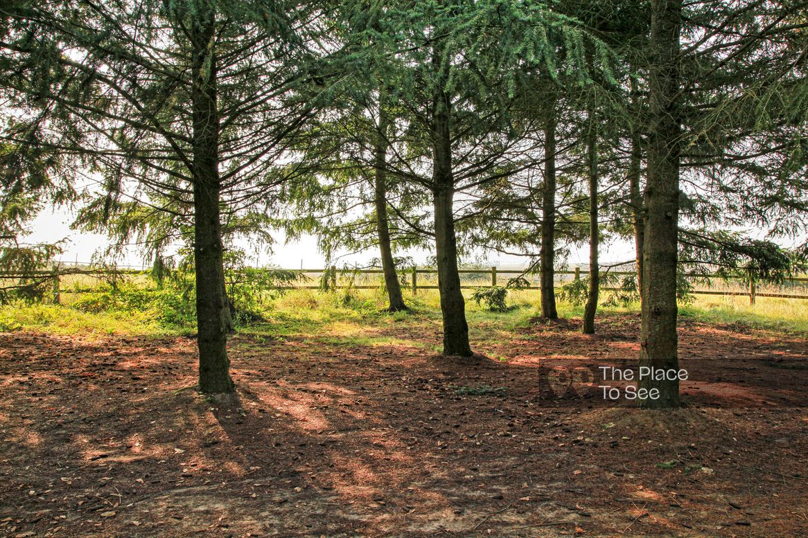 Parc