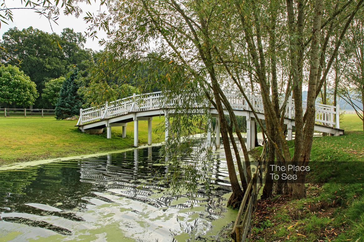 Pont