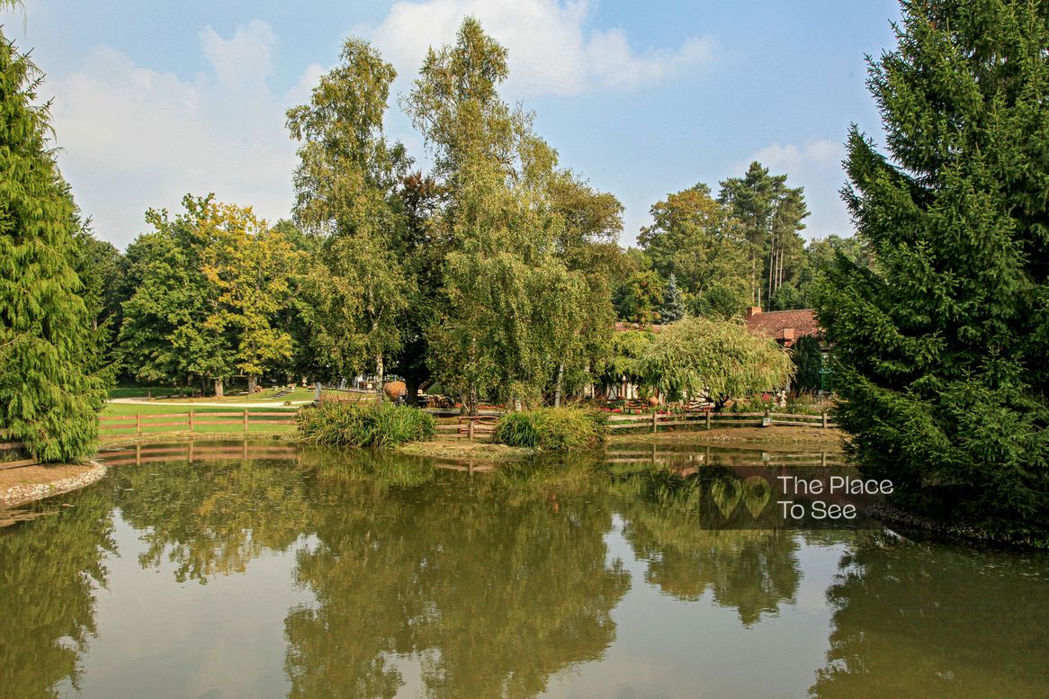 Fontaine/Bassin