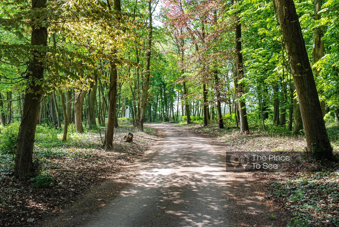 Allée