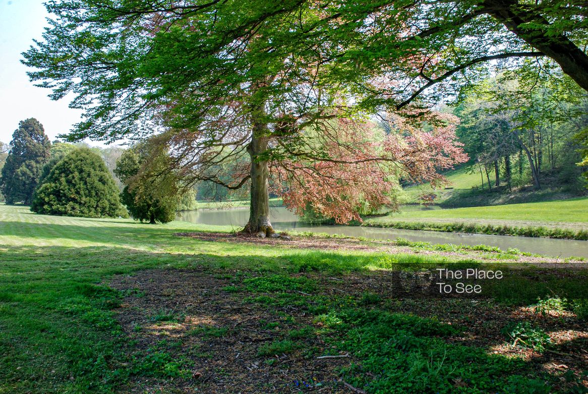Parc
