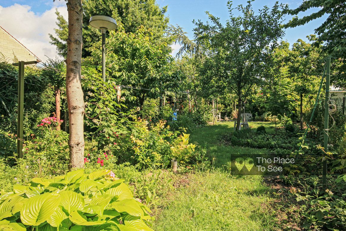 Jardin