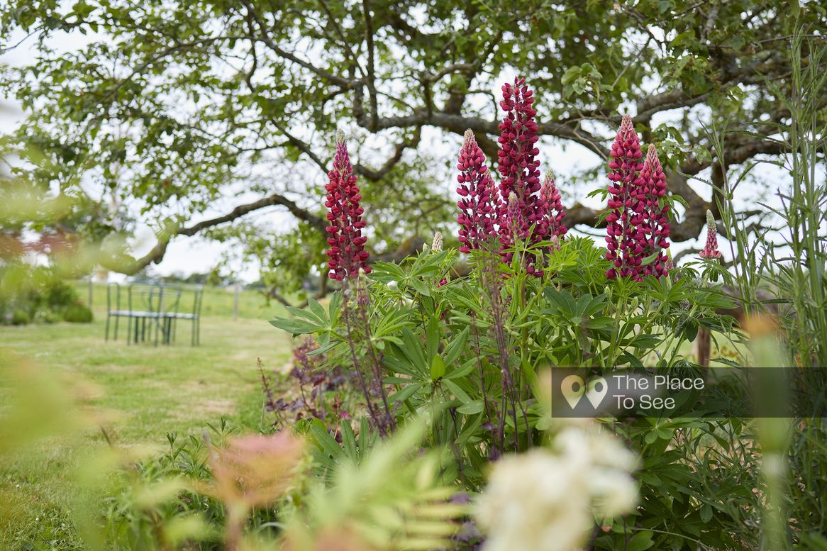 Jardin