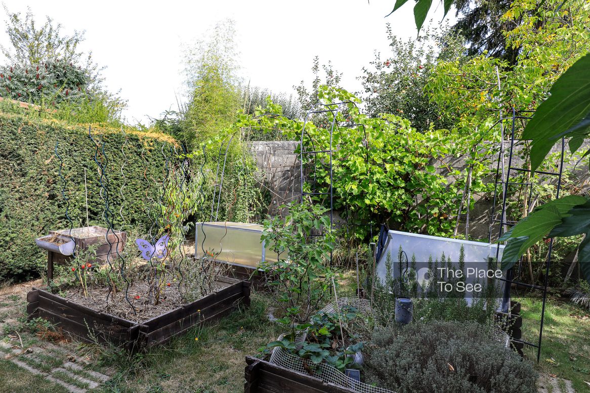 Potager / Verger