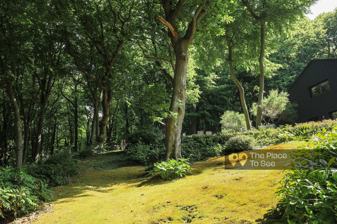 Arbre