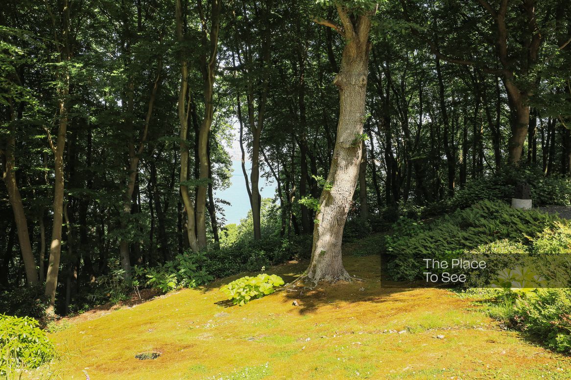 Arbre