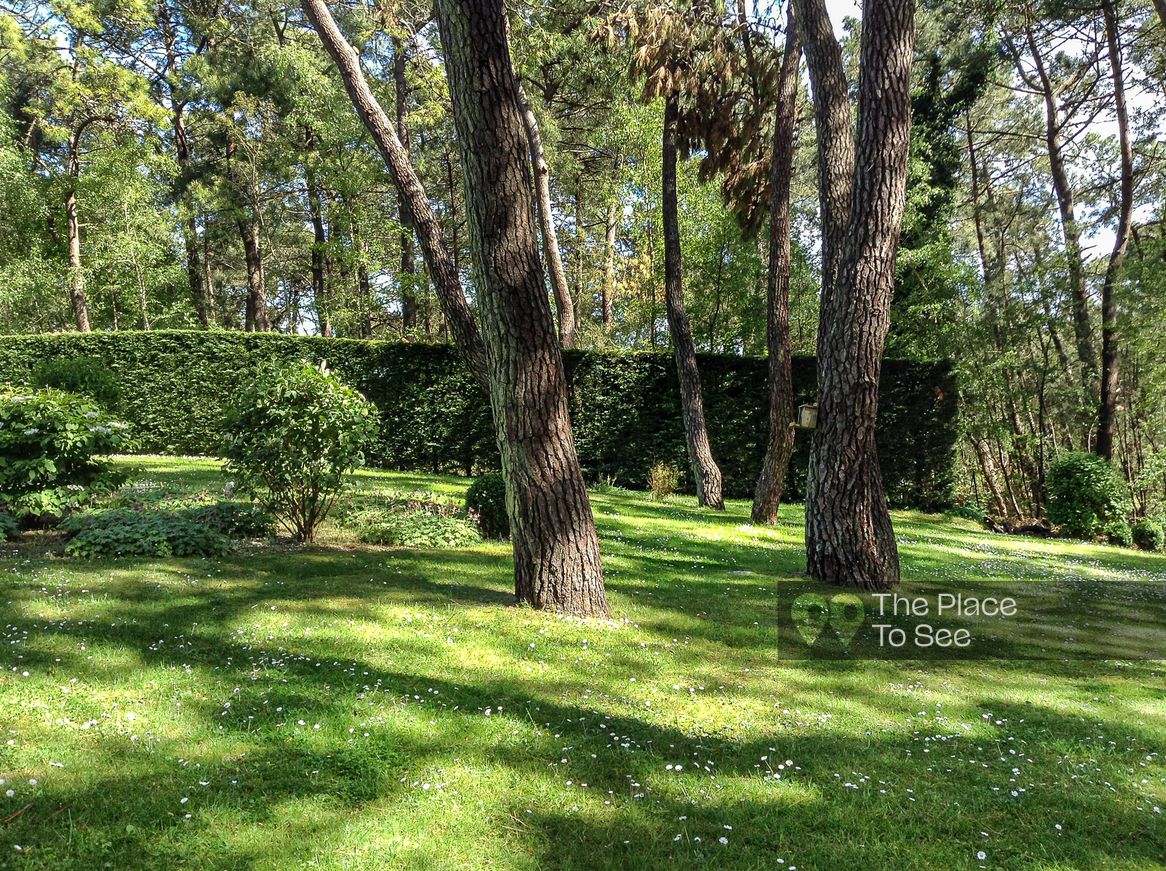 Jardin