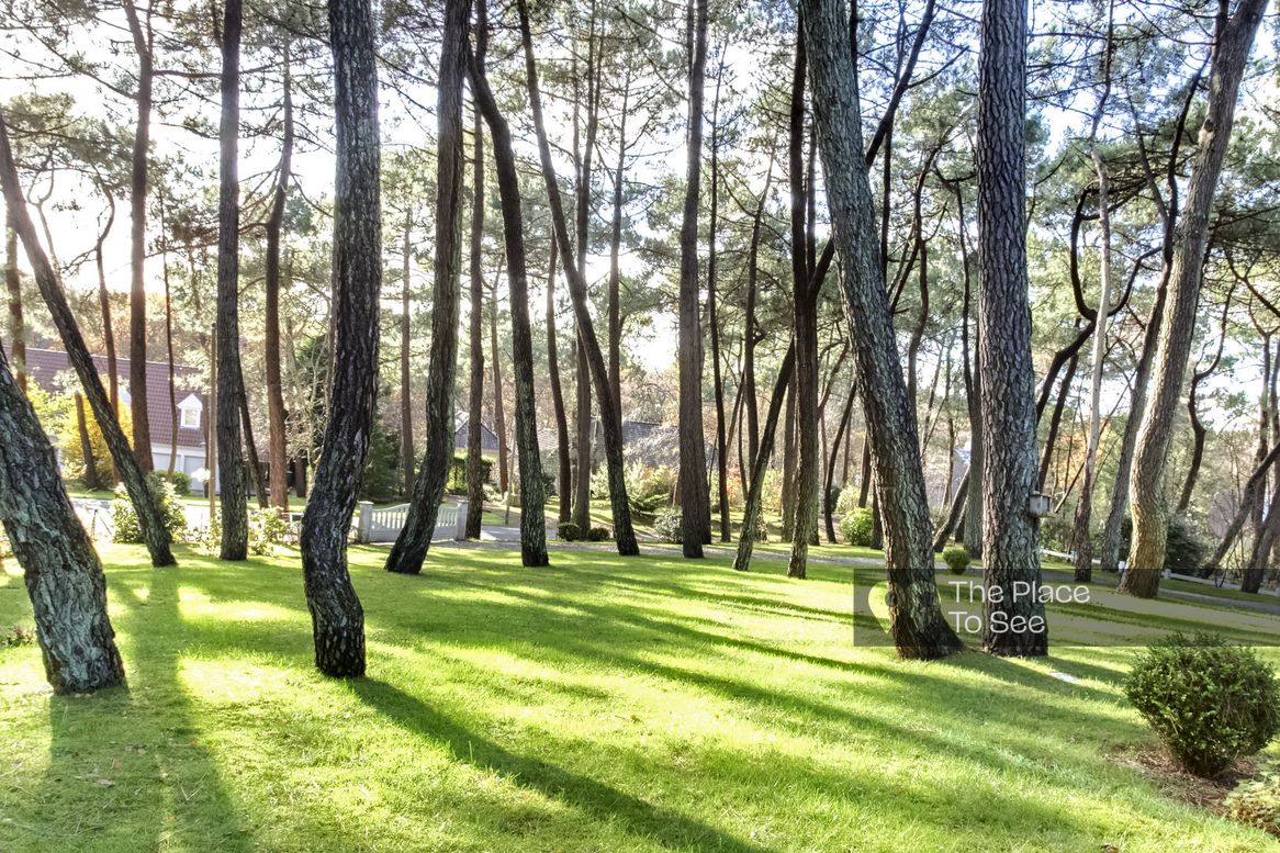 Jardin