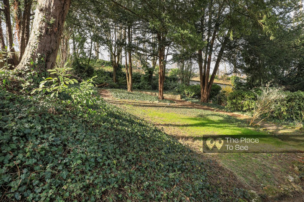 Jardin