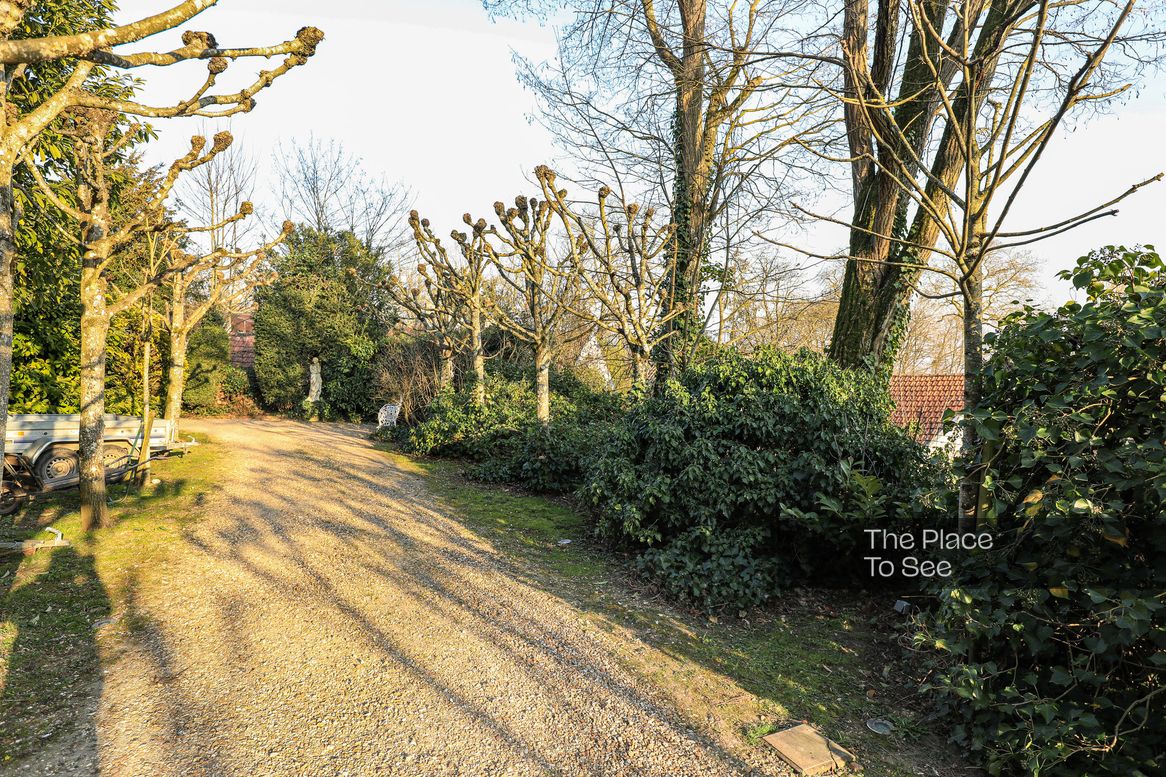 Allée