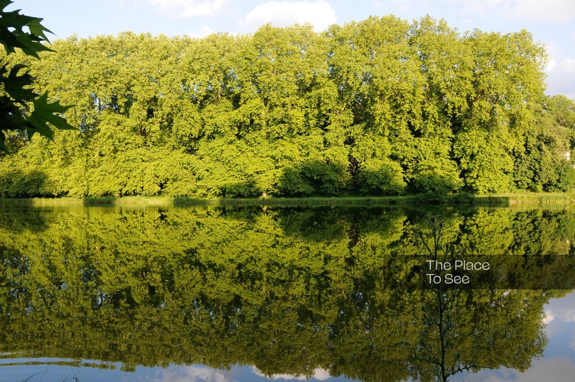 Lac/étang