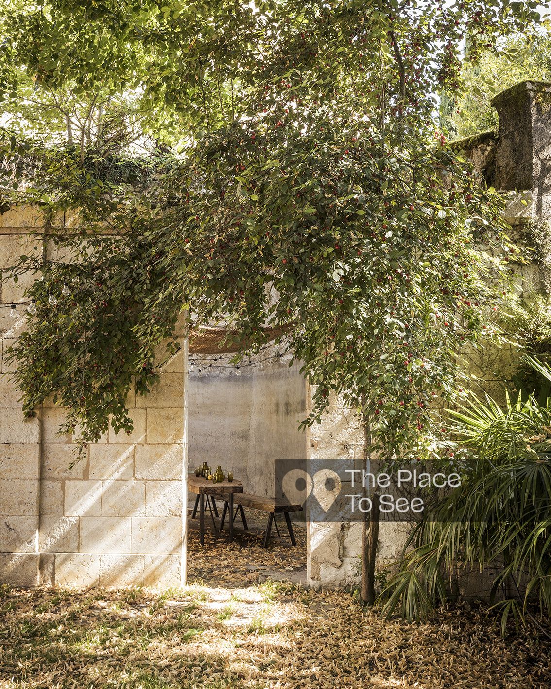 Jardin