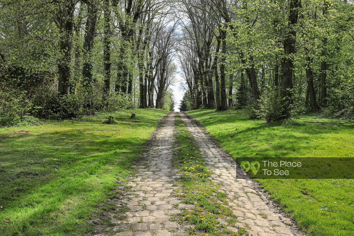 Allée