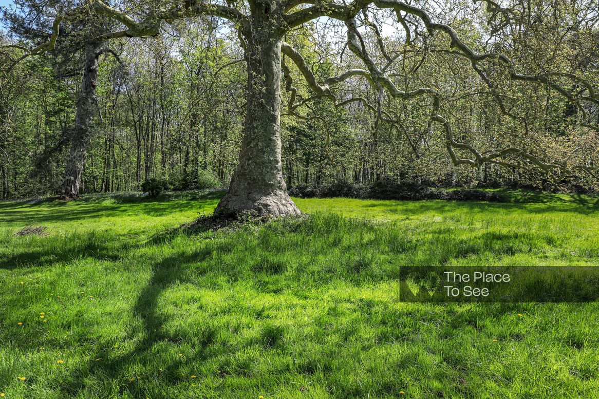 Arbre