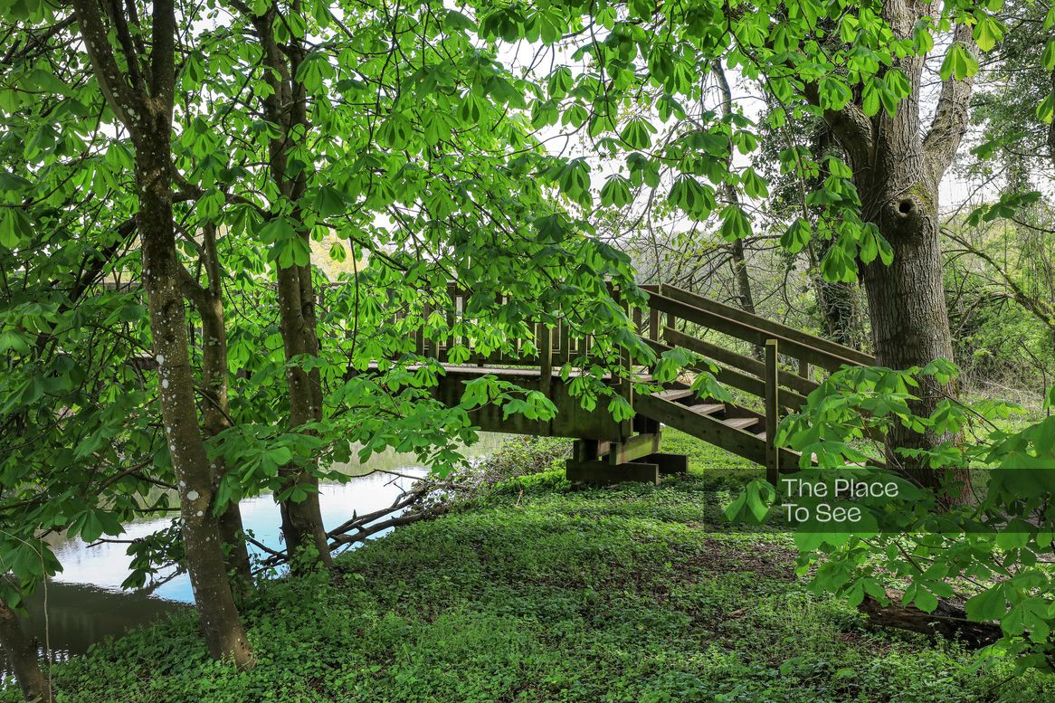 Pont