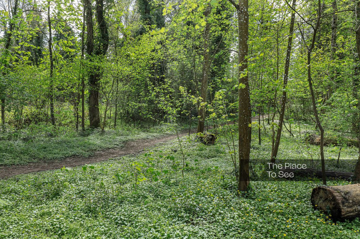 Parc