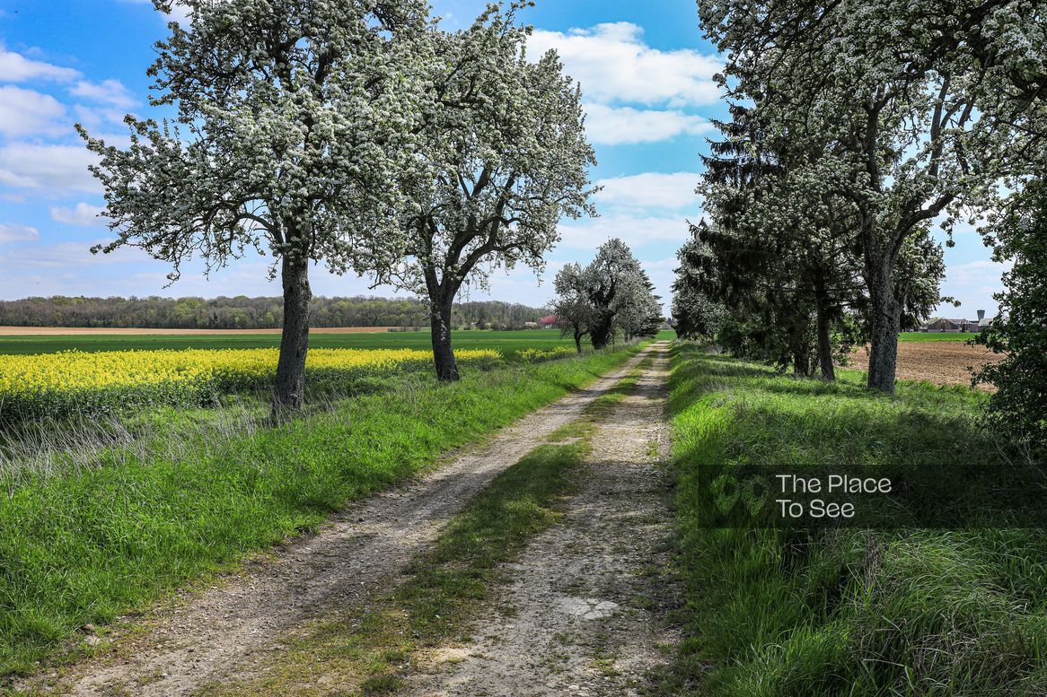 Route