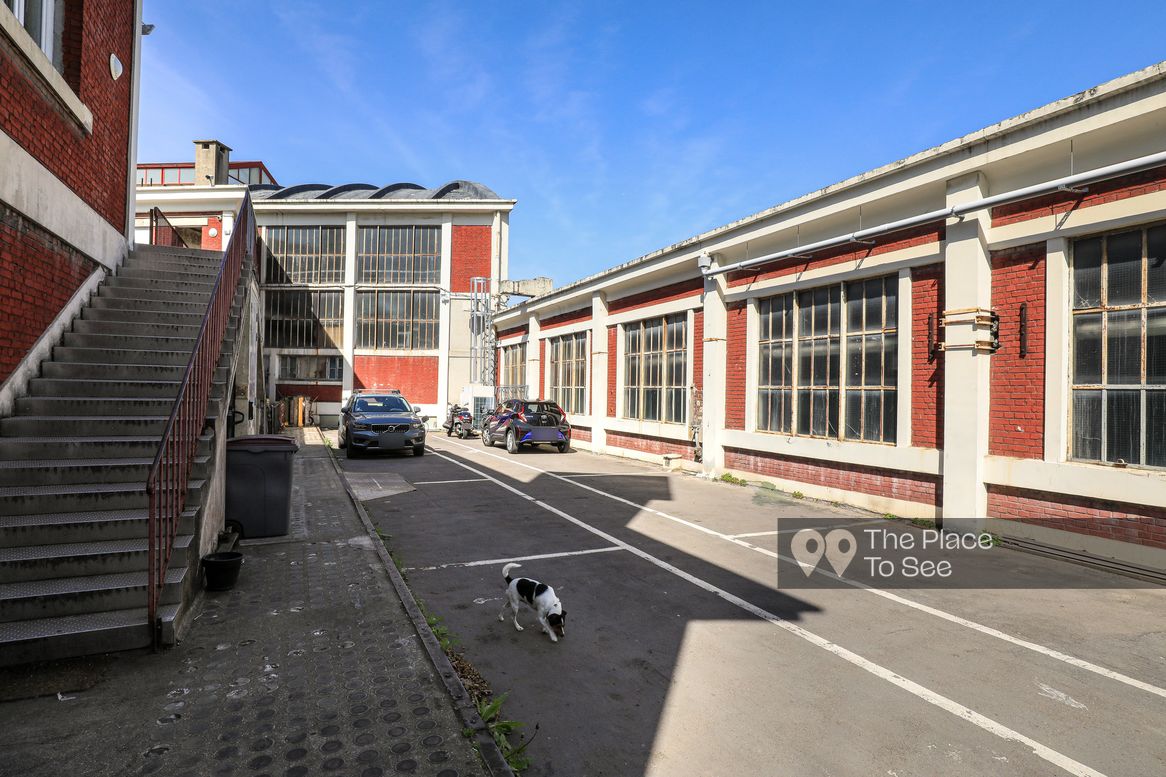 Cour
