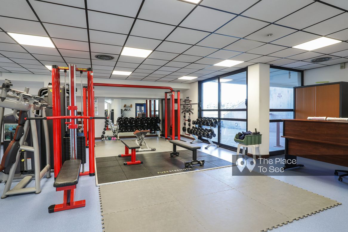 Musculation Fitness