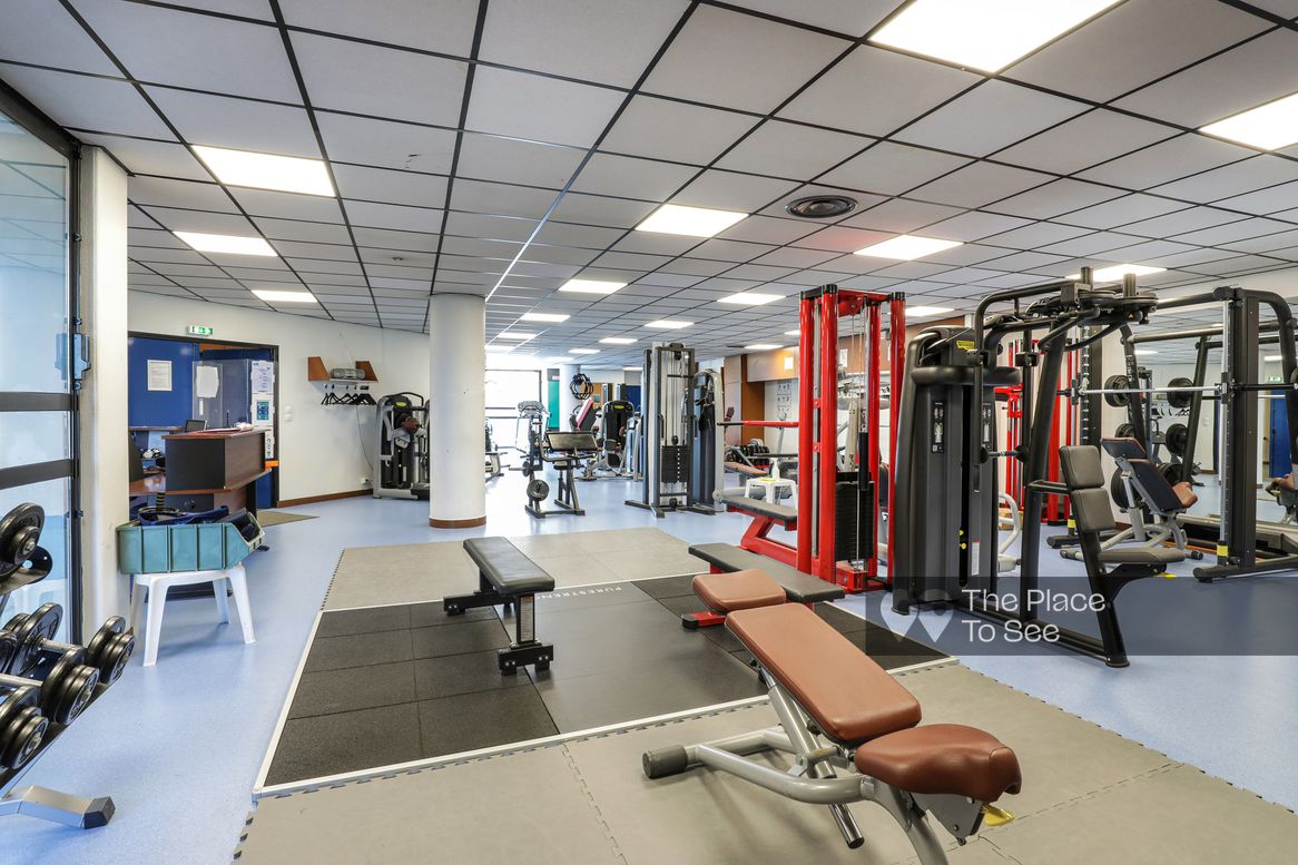 Musculation Fitness