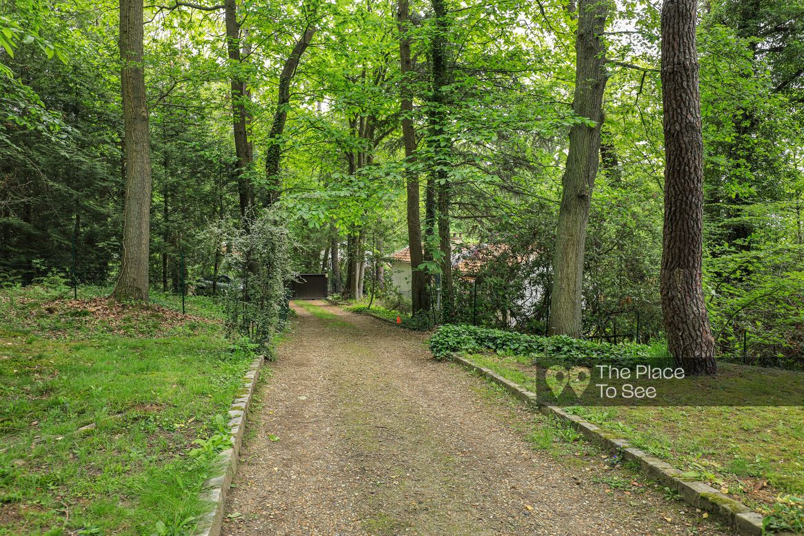 Allée