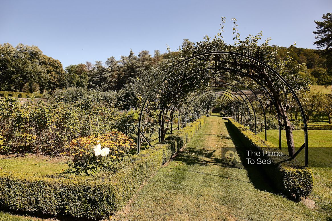 Potager / Verger