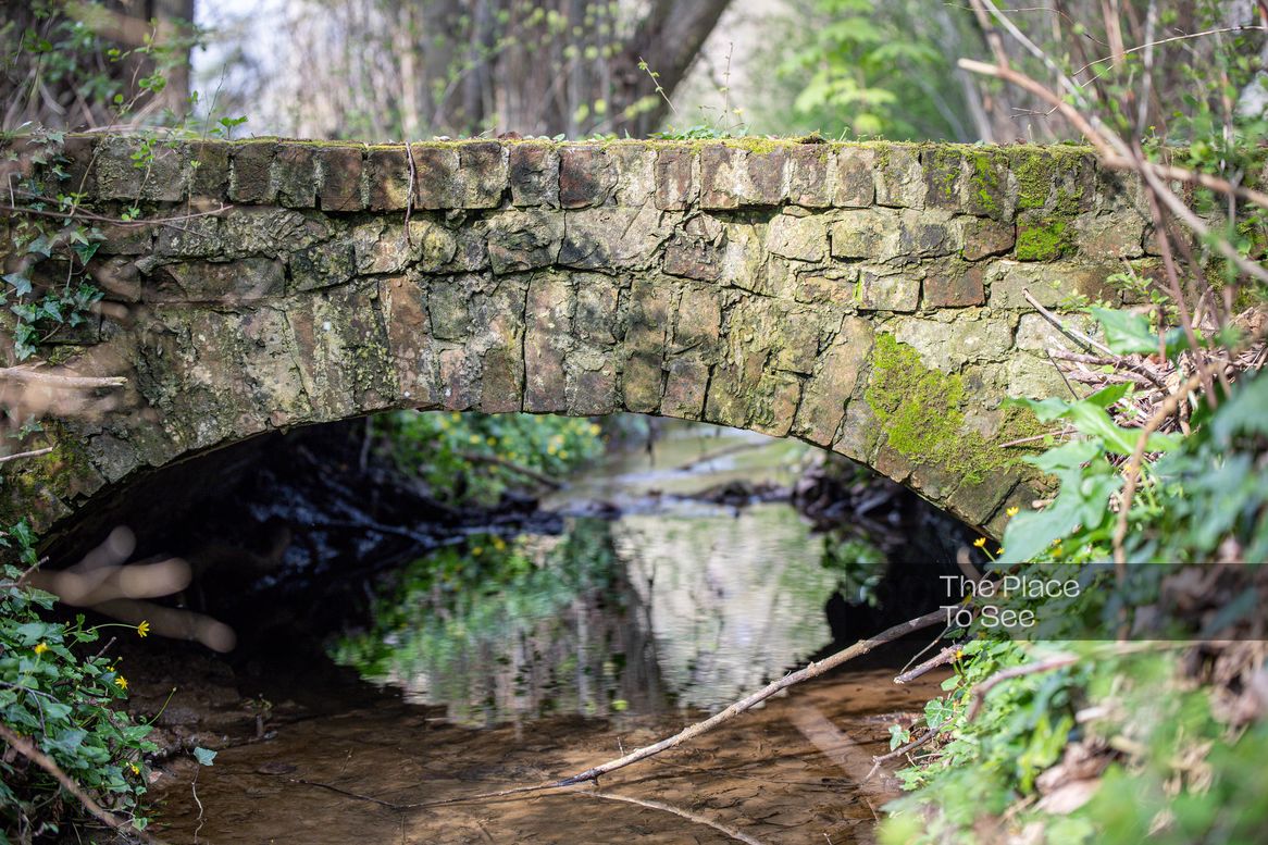 Pont