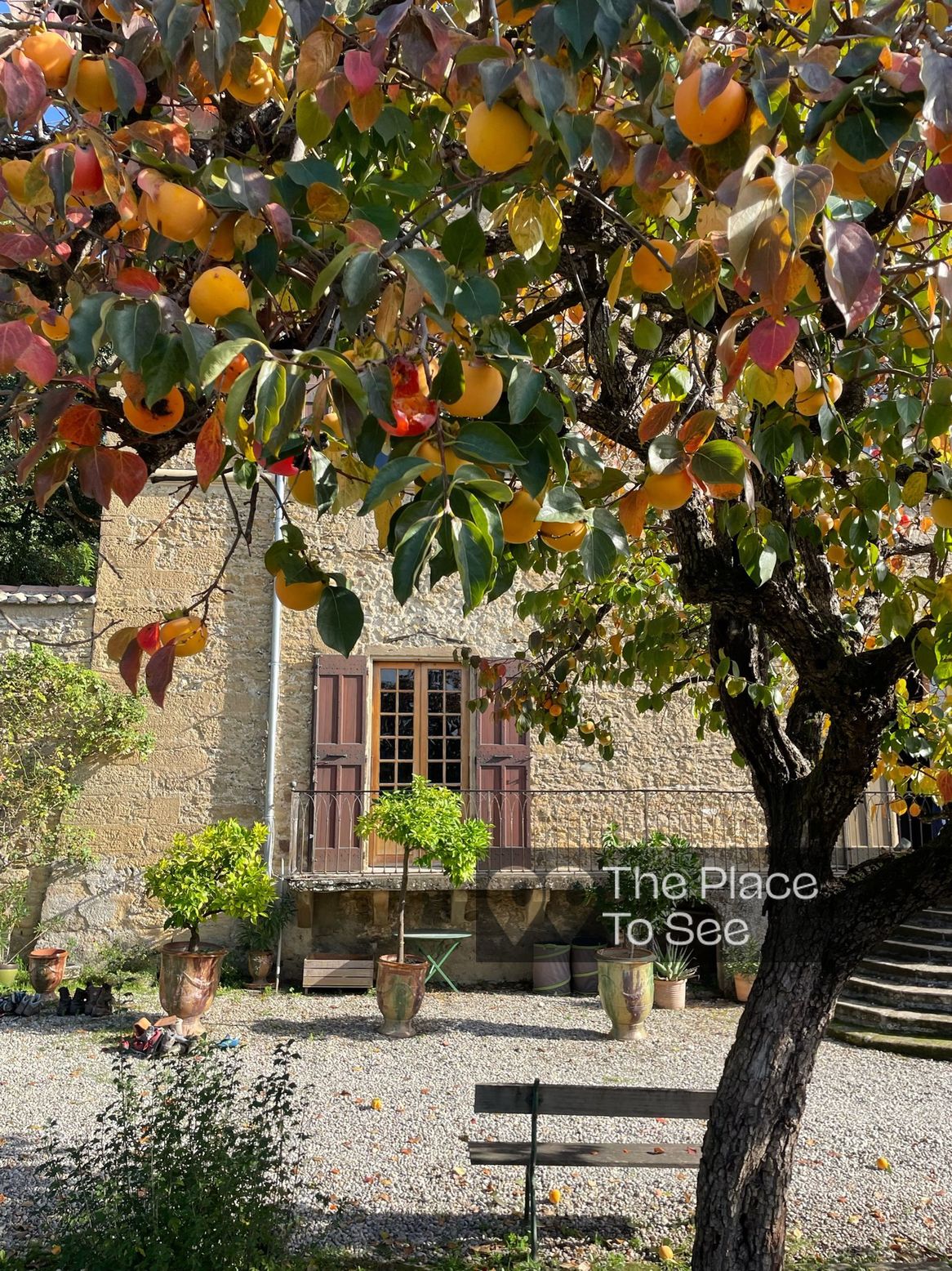 Jardin