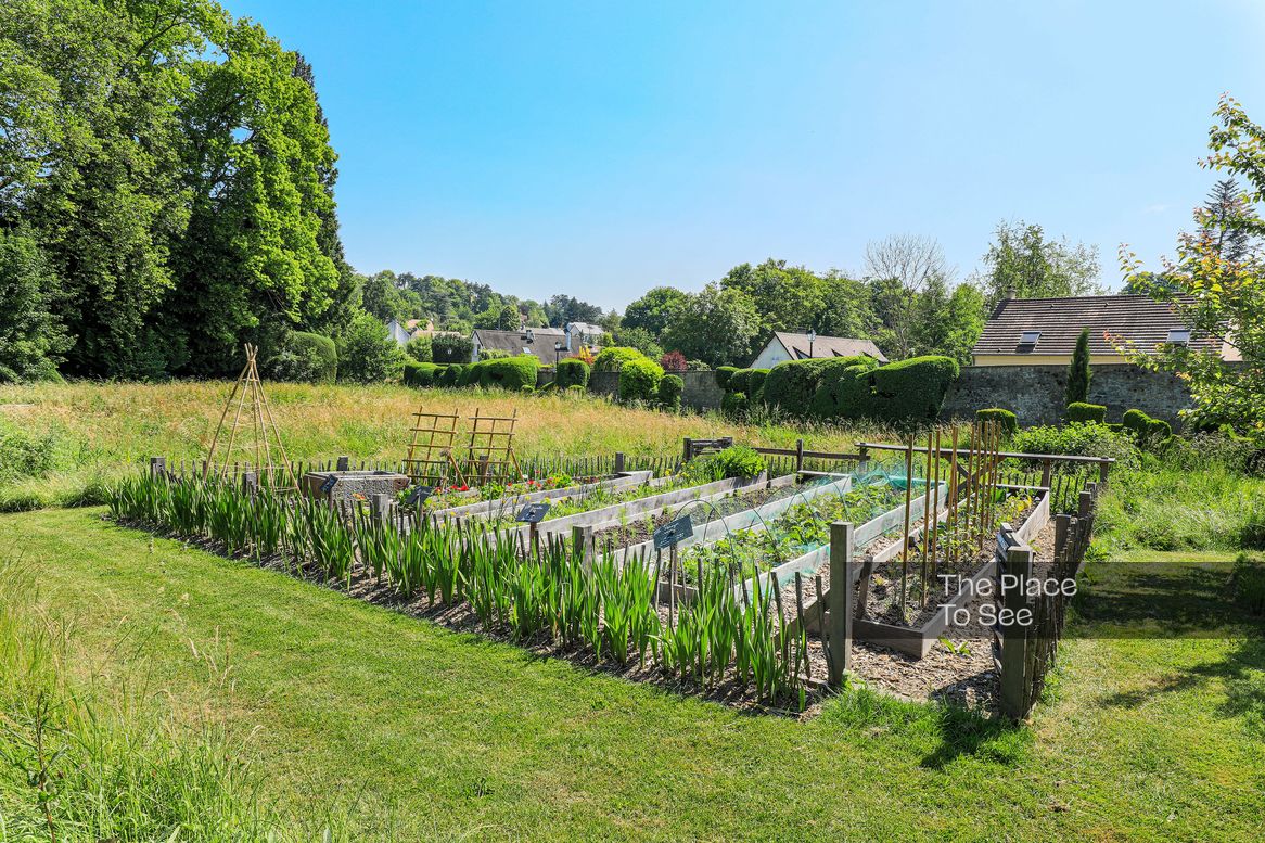 Potager / Verger