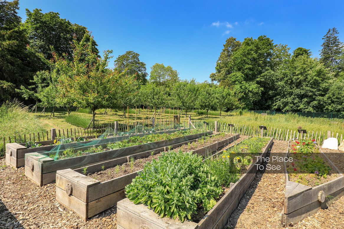 Potager / Verger