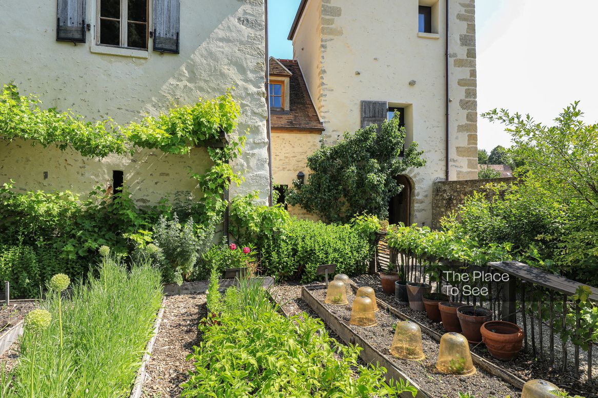 Potager / Verger