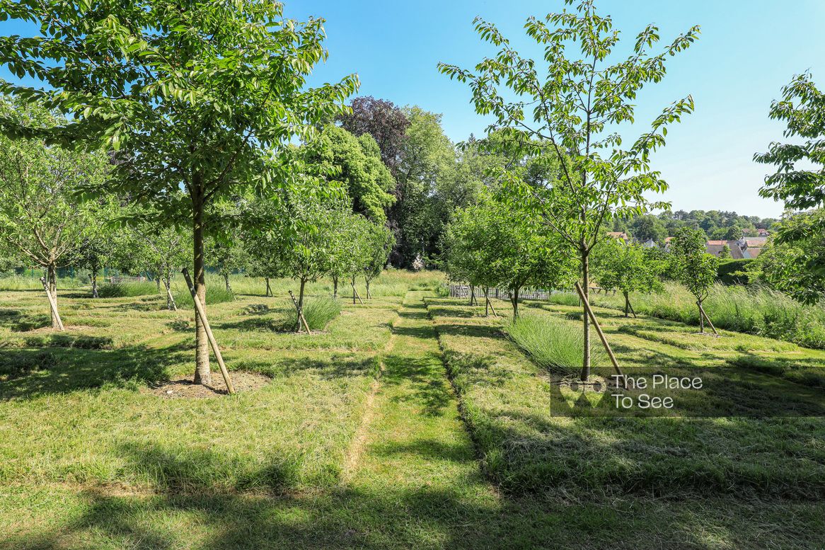 Potager / Verger